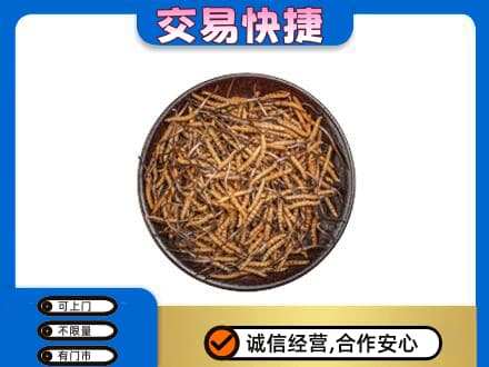 沧州孟村县高价回收散虫草